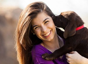 Jak přimět psa, aby vás měl rád v 16 snadných krocích [Nový průvodce]