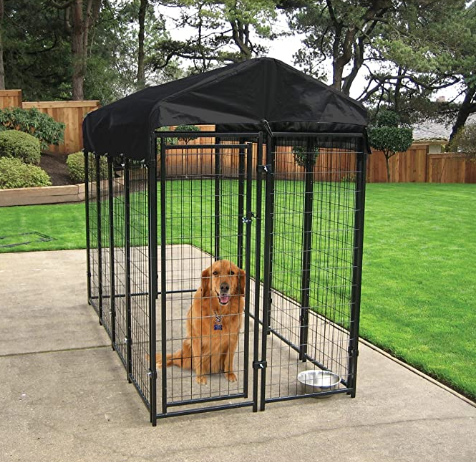 Comment dresser votre chien en cage
