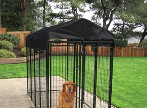 Comment dresser votre chien en cage