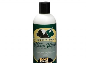 Best Shot Ultra Wash Pes a kočka Shampoo Review