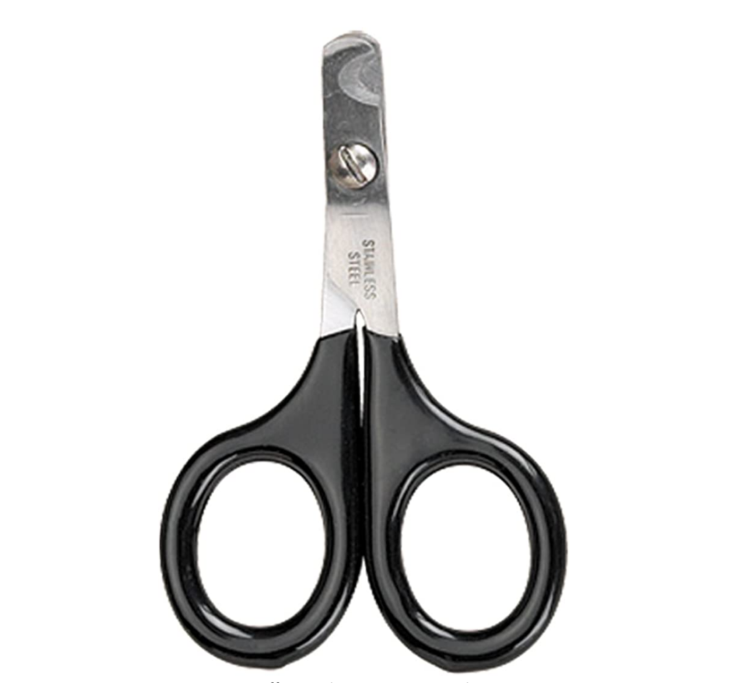 Master Grooming Tools Pet Nails Scissor Review