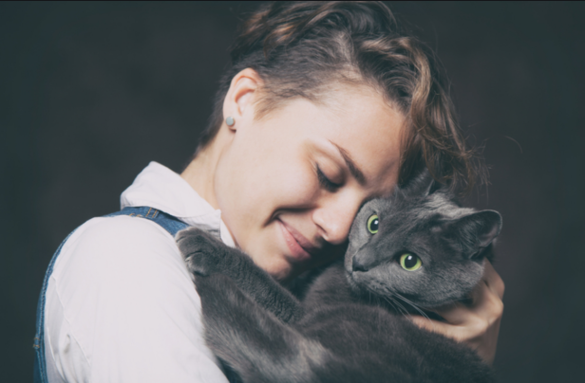Comment faire en sorte qu un chat vous aime en 9 étapes faciles
