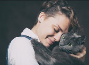 Hoe zorg je ervoor dat een kat je leuk gaat vinden in 9 eenvoudige stappen