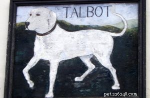 Гончая Талбота (вымершая) – информация о породе собак