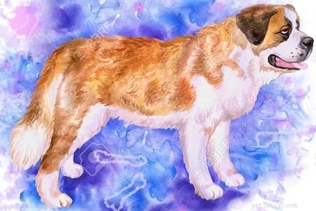 Informações sobre a raça do cão Mastiff alpino (extinto)