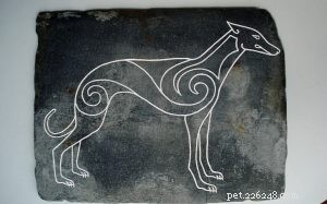 Keltiska hundar (utdöd) – Hundrasinformation