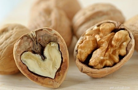 Какие орехи вредны для собак?