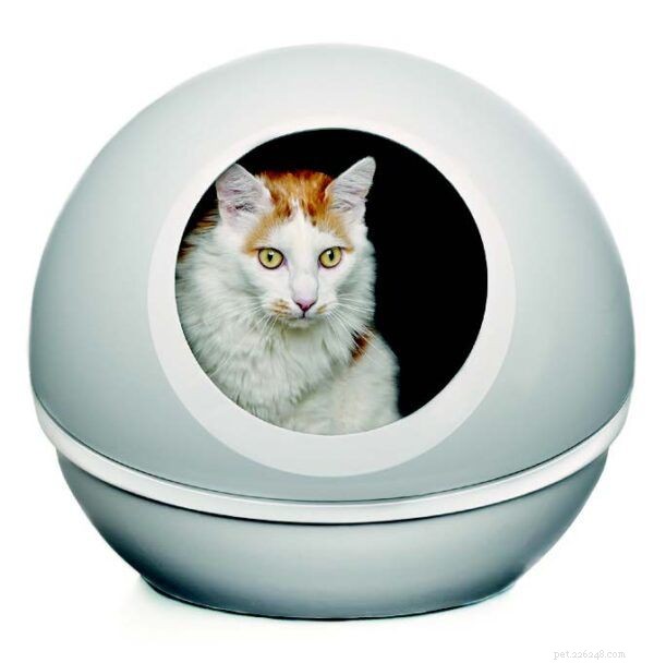 Коробка для туалета — Точка зрения вашей кошки