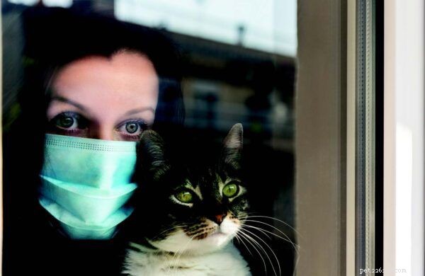 9 verrassende manieren waarop mensen op katten lijken