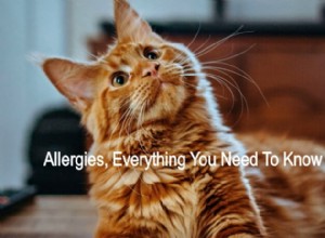 애완동물 관련 알레르기 | 알아야 할 모든 것