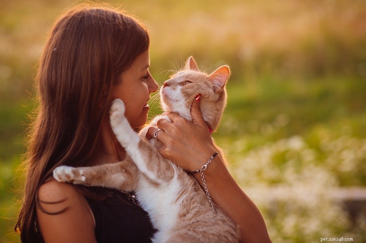 Pourquoi adopter un chat ?