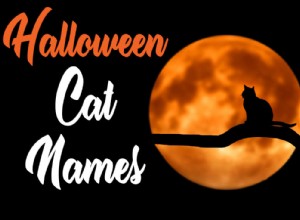 Halloween-kattnamn:50 bästa namnen för din rädda katt