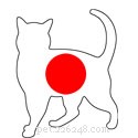 100 bedårande japanska kattnamn du kommer att älska