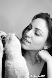 Linguagem corporal do gato:o que seu gato está tentando lhe dizer? 