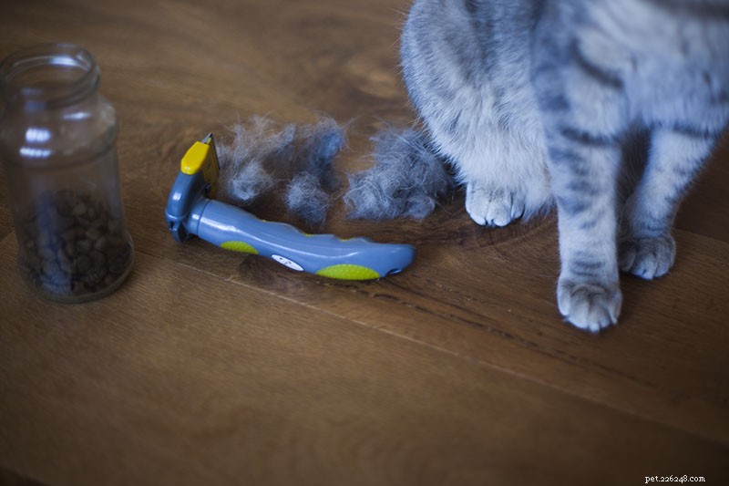Расчесывание кошки с помощью специального инструмента для ухода за домашними животными