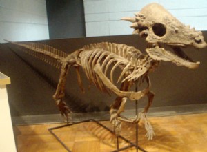 Nově objevený texaský dinosaurus pravděpodobně zapojený do soutěží v narážení hlavy