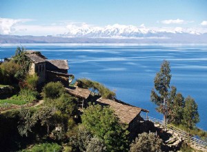 보존 업데이트 – 피부를 호흡하는 기이한 호수 Titicaca 개구리