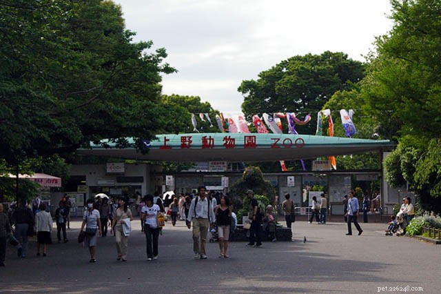 日本の地震と津波–動物園と水族館の懸念 
