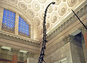 Les plus grands dinosaures du monde :une nouvelle exposition étonnante s ouvre