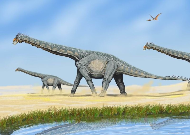 世界最大の恐竜–驚くべき新しい展示会が開かれます