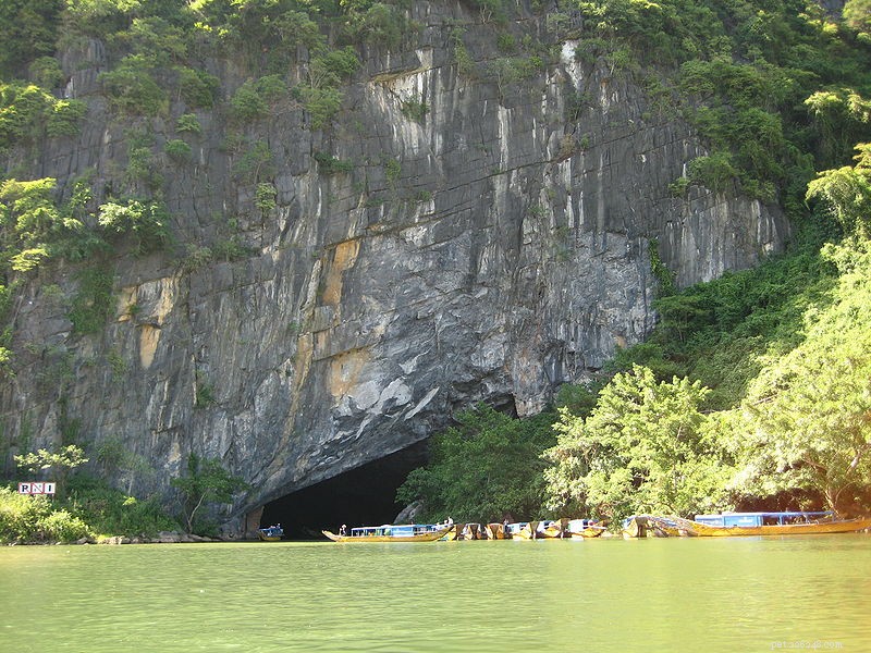 Новинки из Юго-Восточной Азии – желто-красноглазые гадюки и гигантская пещера