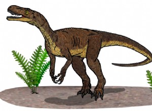 새로운 고대 동물 발견 – 작은  T Rex 와 세이버 이빨 채식주의자