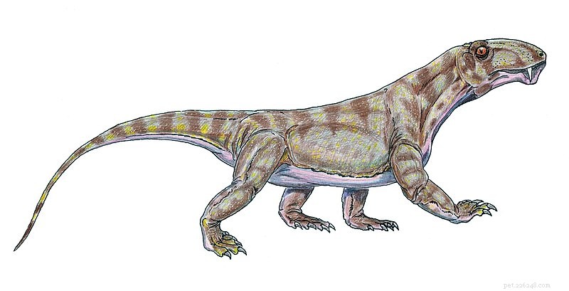  코모도 용-호랑이 십자가 로 묘사된 새로운 공룡
