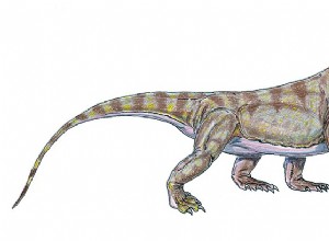 Nouveau dinosaure décrit comme une  croix dragon de Komodo-tigre 