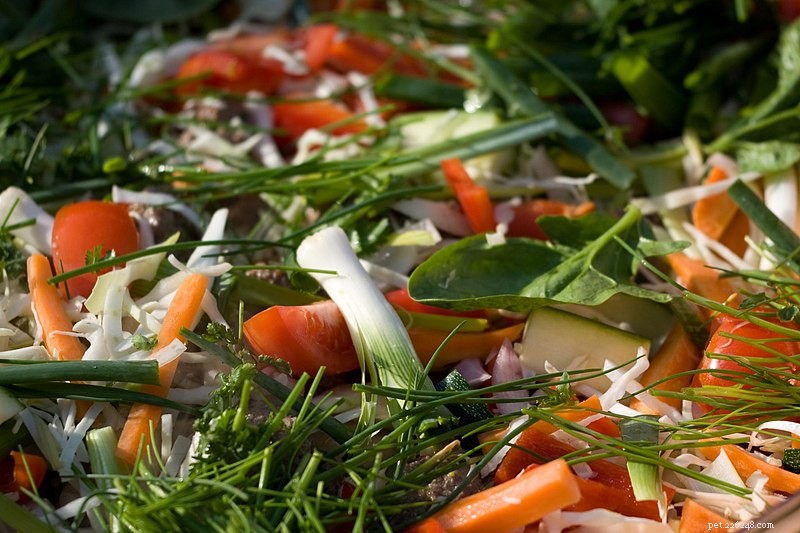 Craquetes e carotenóides – Estudo examina os níveis de nutrientes dos grilos