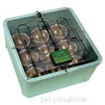 A melhor incubadora de ovos de répteis – o Zoo Med Reptibator