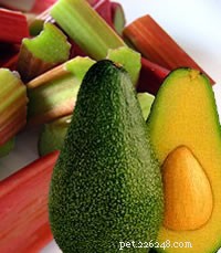 Reptielveilige groenten en fruit