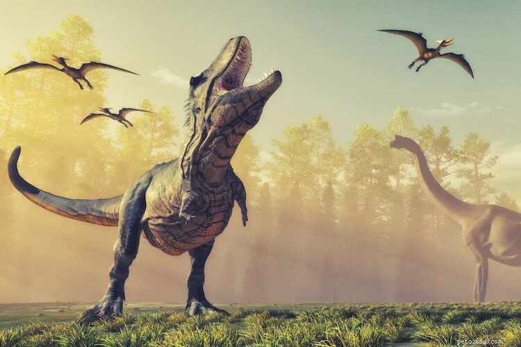 I 75 principali fatti sui dinosauri che non conoscerai già!