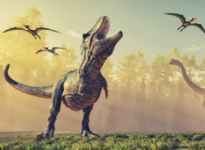 75 главных фактов о динозаврах, которых вы еще не знали!