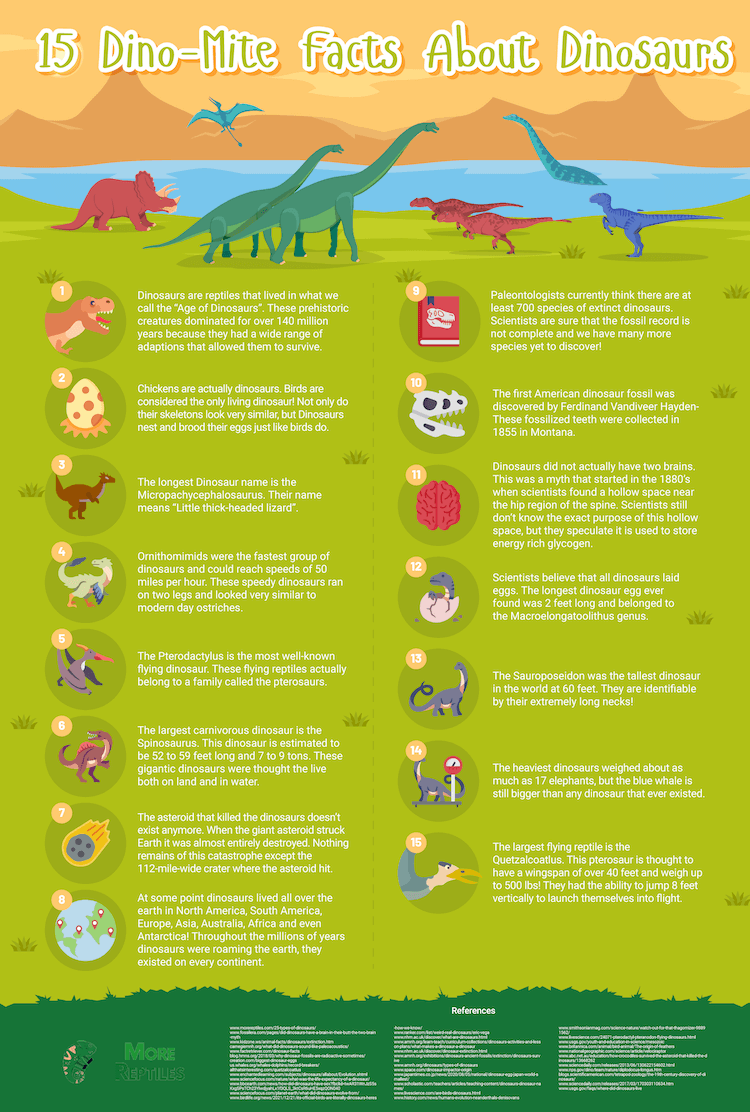 75 главных фактов о динозаврах, которых вы еще не знали!