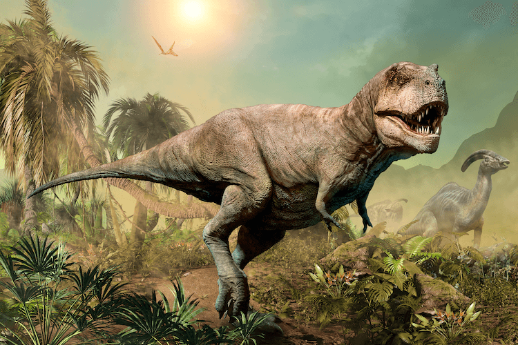 25+ tipi di dinosauri:elenco di specie di dinosauri dalla A alla Z