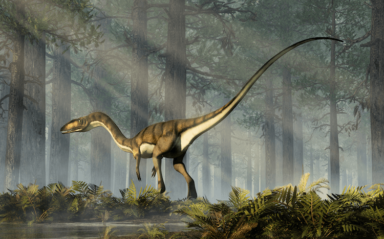 25+ типов динозавров:список видов динозавров от А до Я