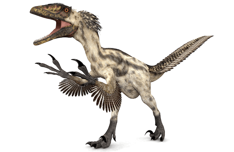 25+ Tipos de Dinossauros:Lista A-Z de Espécies de Dinossauros