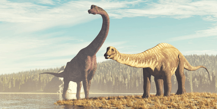 25+ typů dinosaurů:A-Z seznam druhů dinosaurů