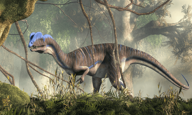 Plus de 25 types de dinosaures :liste de A à Z des espèces de dinosaures