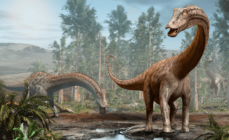 25+ Tipos de Dinossauros:Lista A-Z de Espécies de Dinossauros