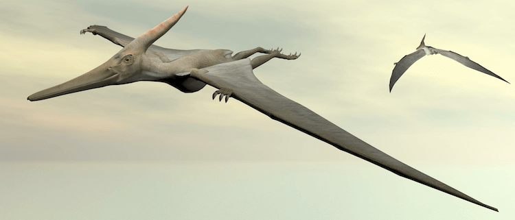 25種類以上の恐竜：恐竜種のA-Zリスト 