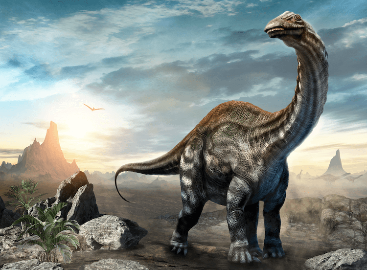 25개 이상의 공룡 유형:A-Z 공룡 종의 목록