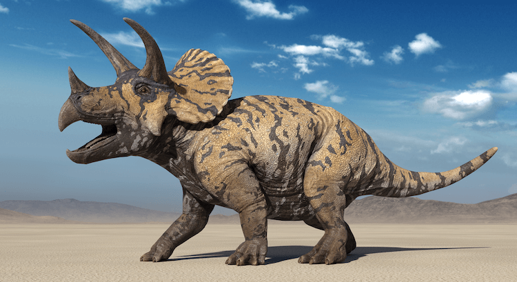 25+ typů dinosaurů:A-Z seznam druhů dinosaurů