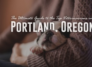 Nejlepší průvodce nejlepšími veterináři v Portlandu v Oregonu