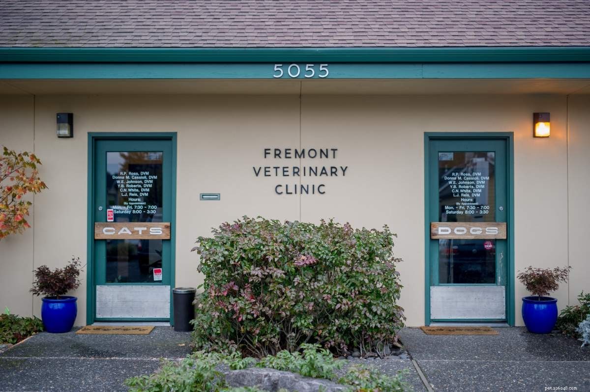 La guida definitiva ai migliori veterinari di Portland, Oregon