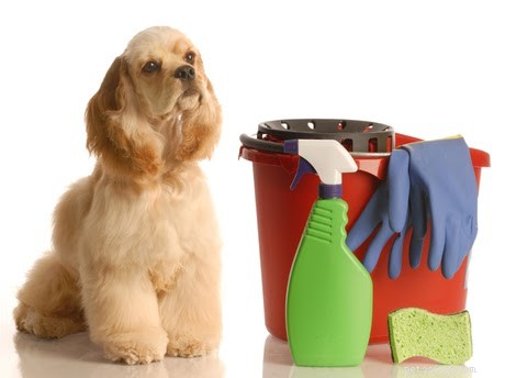 청소 제품 주변에서 애완동물을 안전하게 보호하기 위한 모범 사례