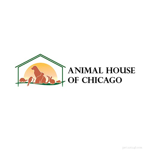 Os 16 melhores veterinários de Chicago Illinois