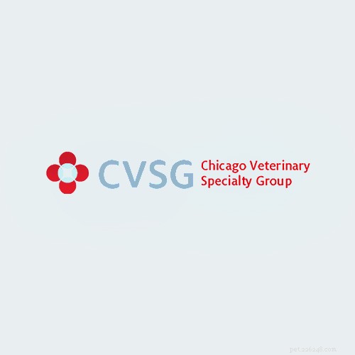 De 16 bästa veterinärerna i Chicago, Illinois