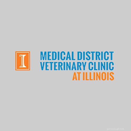イリノイ州シカゴの16人の最高の獣医 