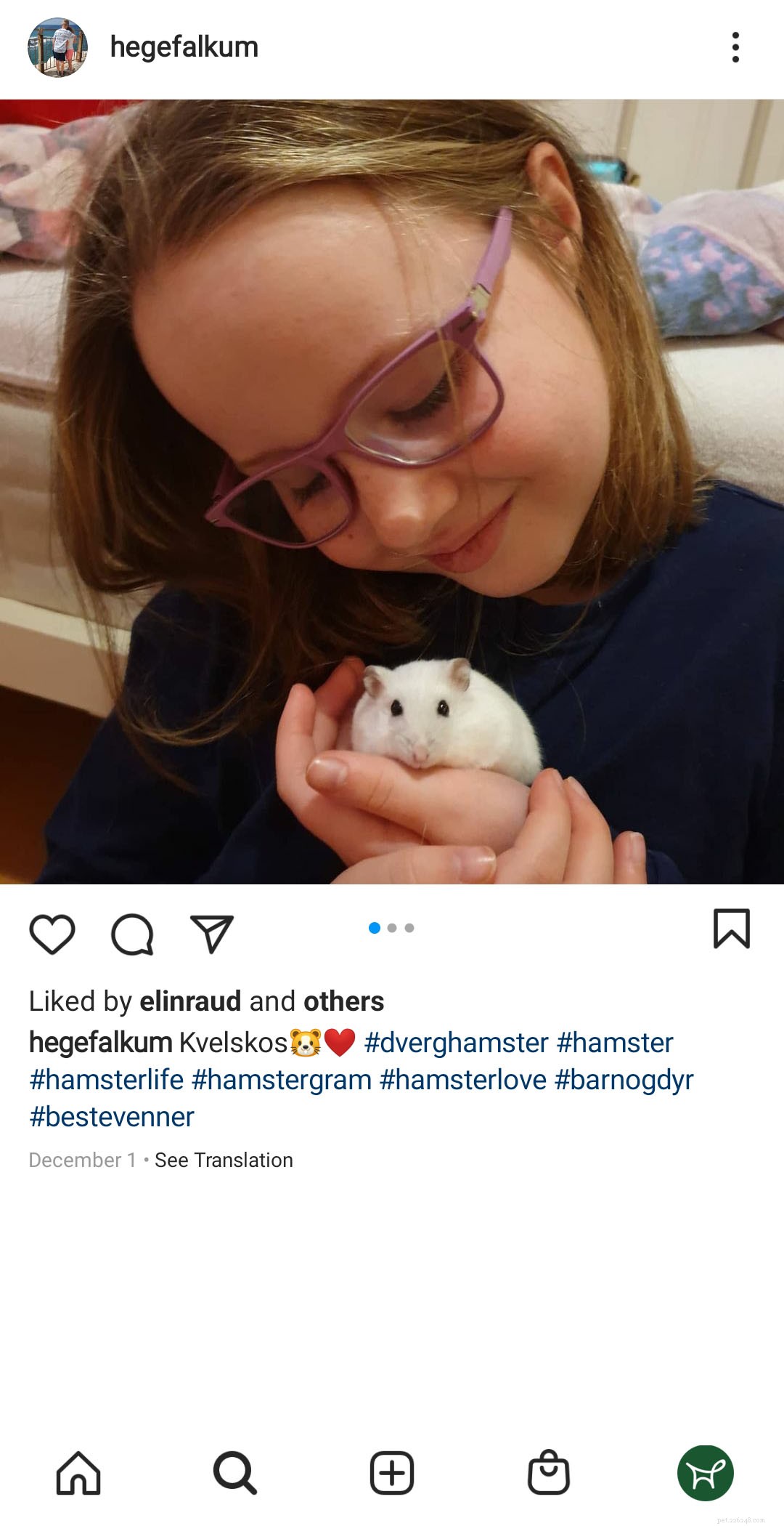 De ultieme gids voor haarverlies bij hamsters